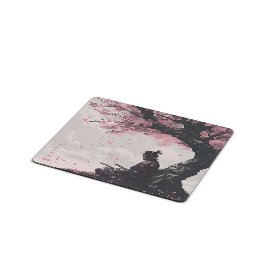 Kenshi