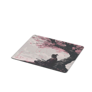 Kenshi