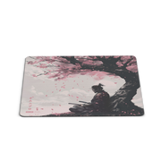 Kenshi