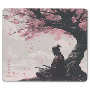 Kenshi